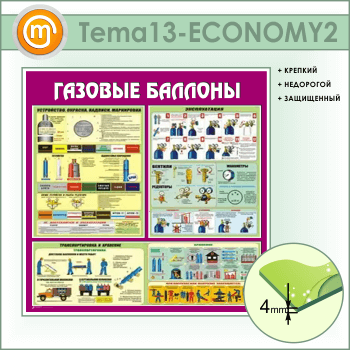    (TM-13-ECONOMY2)